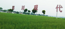 生產(chǎn)基地