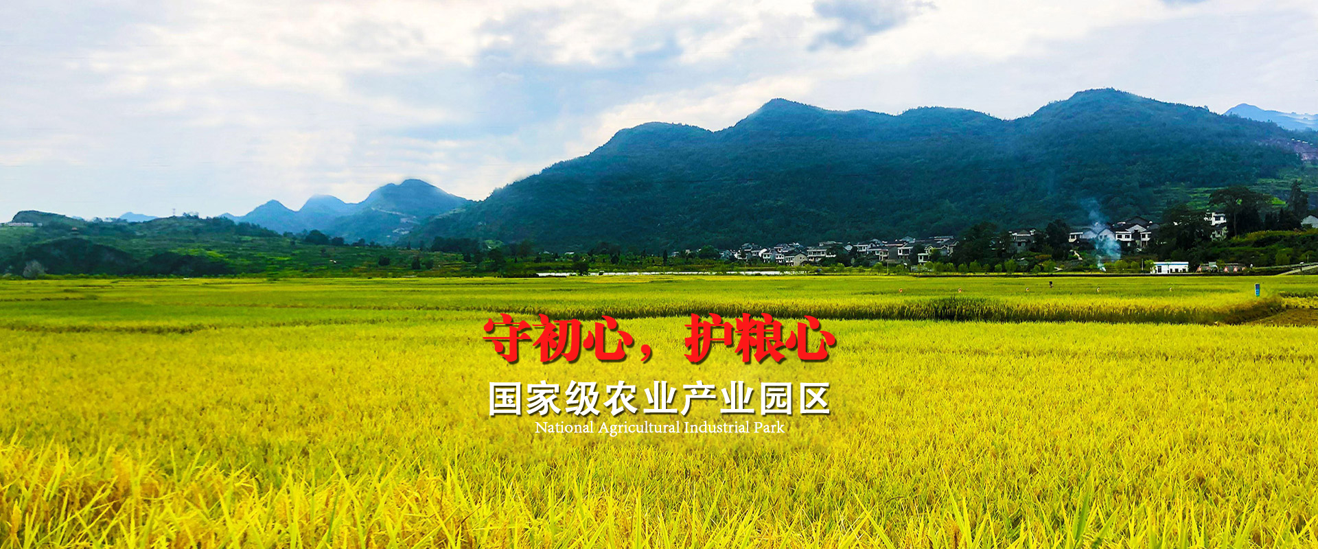 圖片1